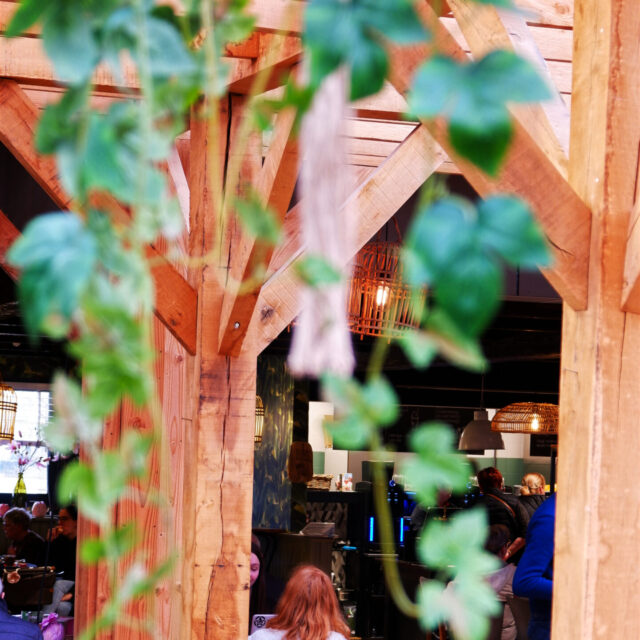 Rustig lunchen bij Tuincafe Geleen