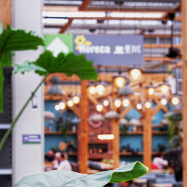 Foto van Tuincafé Heerlen: Een huiselijke sfeer wordt gecreëerd met een huisplant op de voorgrond, terwijl op de achtergrond het gezellige restaurant vervaagd te zien is, waardoor een uitnodigende ambiance ontstaat.
